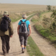 On the trail from Chanctonbury to Steyning Bowl and Upper Beeding