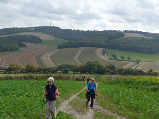 Looking back towqards Bignor Hill across the sculptural Littlemore vale. 